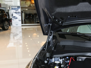 2021249PS R-Dynamic SE ܿƼ 5 