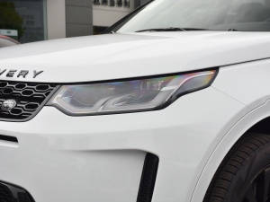 2021249PS R-Dynamic S ܰ ^