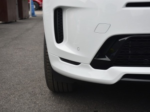 2021249PS R-Dynamic S ܰ (ji)^