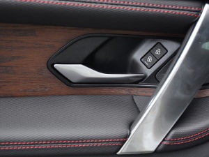 2021249PS R-Dynamic S ܰ g