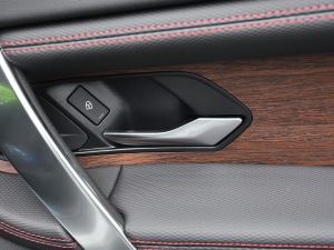 2021249PS R-Dynamic S ܰ g