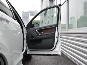 2021249PS R-Dynamic S ܰ g