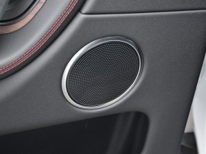 2021249PS R-Dynamic S ܰ g