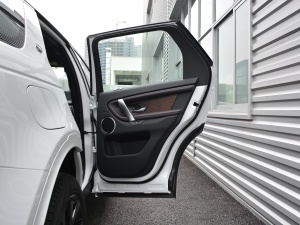 2021249PS R-Dynamic S ܰ g