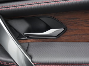 2021249PS R-Dynamic S ܰ g