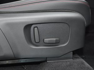 2021249PS R-Dynamic S ܰ g