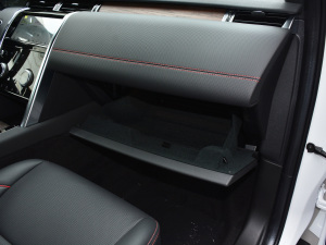 2021249PS R-Dynamic S ܰ 