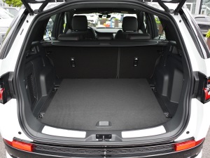 2021249PS R-Dynamic S ܰ g