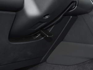 2021249PS R-Dynamic S ܰ g