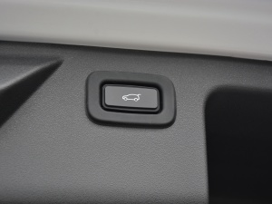 2021249PS R-Dynamic S ܰ g