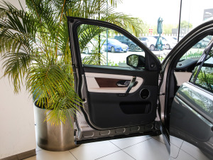 2021249PS R-Dynamic HSE Aư g