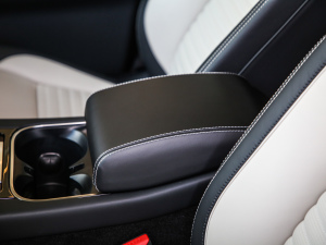 2021249PS R-Dynamic HSE Aư g