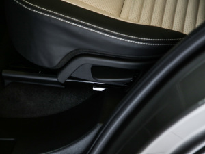 2021249PS R-Dynamic HSE Aư g