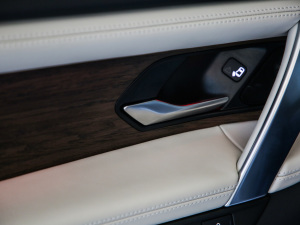 2021249PS R-Dynamic HSE Aư g