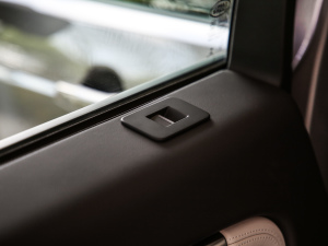 2021249PS R-Dynamic HSE Aư g