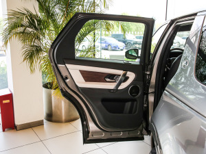 2021249PS R-Dynamic HSE Aư g