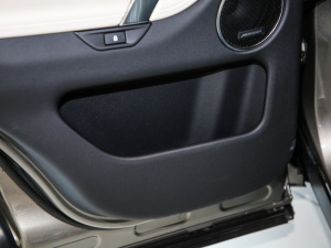 2021249PS R-Dynamic HSE Aư g