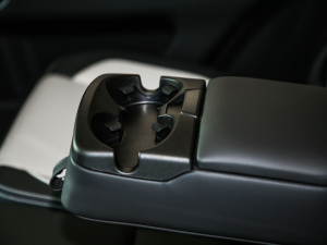 2021249PS R-Dynamic HSE Aư g