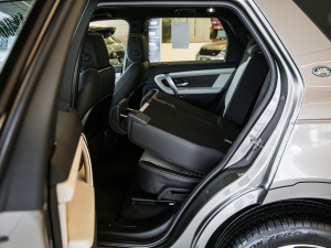 2021249PS R-Dynamic HSE Aư g