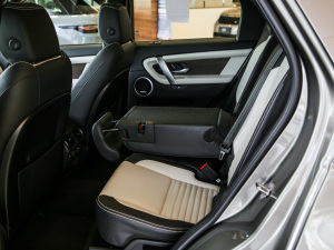 2021249PS R-Dynamic HSE Aư g