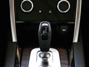 2021249PS R-Dynamic HSE Aư п؅^(q)