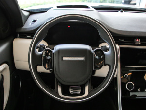 2021249PS R-Dynamic HSE Aư п؅^(q)