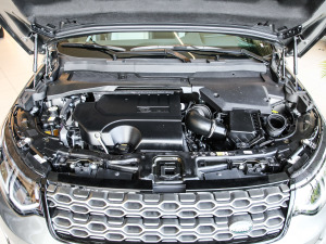 2021249PS R-Dynamic HSE Aư 