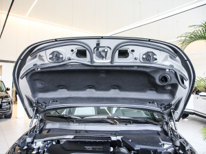 2021249PS R-Dynamic HSE Aư 