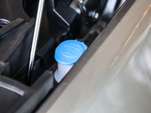 2021249PS R-Dynamic HSE Aư 