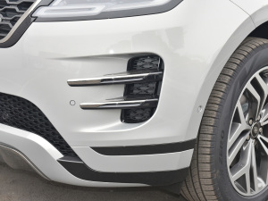 2021��O��L P300e ���A�� �������^