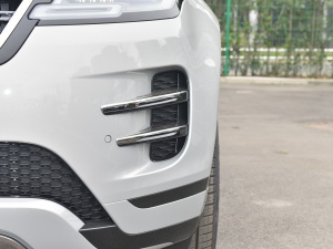 2021��O��L P300e ���A�� �������^