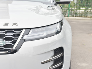 2021��O��L P300e ���A�� �������^