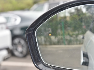 2021��O��L P300e ���A�� �������^