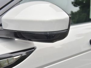 2021��O��L P300e ���A�� �������^