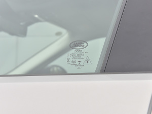 2021��O��L P300e ���A�� �������^