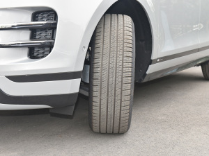 2021��O��L P300e ���A�� �������^