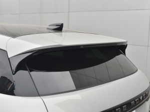 2021��O��L P300e ���A�� �������^