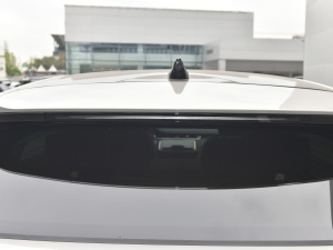 2021��O��L P300e ���A�� �������^