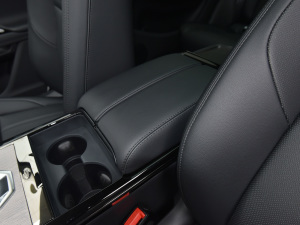 2021款极光L P300e 豪华版 中央扶手箱