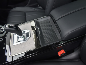 2021��O��L P300e ���A�� ���g����