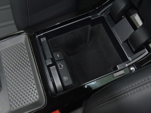 2021��O��L P300e ���A�� ���g����