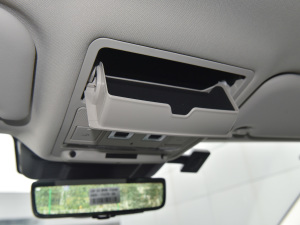 2021��O��L P300e ���A�� ���g����