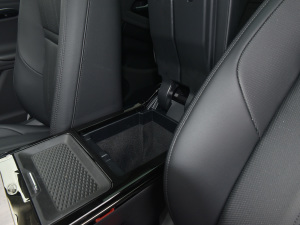 2021��O��L P300e ���A�� ���g����