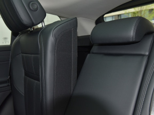 2021��O��L P300e ���A�� ���g����