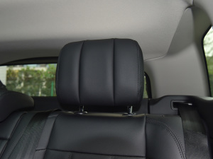 2021��O��L P300e ���A�� ���g����