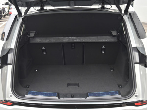 2021��O��L P300e ���A�� ���g����