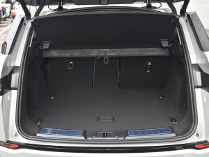 2021��O��L P300e ���A�� ���g����