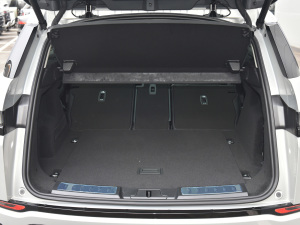 2021��O��L P300e ���A�� ���g����