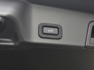 2021��O��L P300e ���A�� ���g����