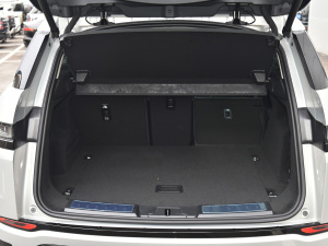 2021��O��L P300e ���A�� ���g����